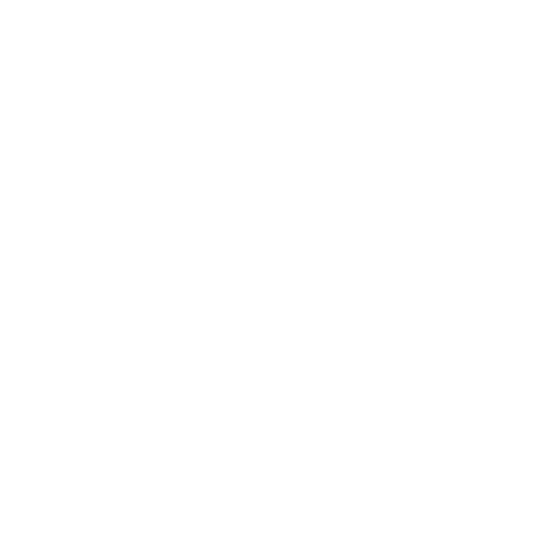 Logo Startup PDL